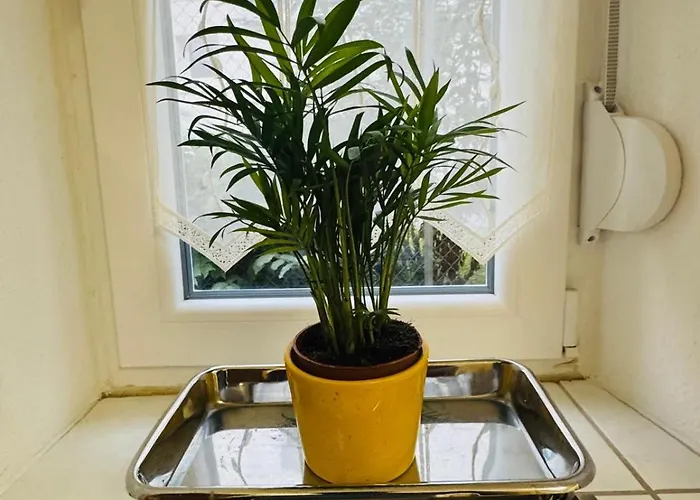 Forest Nest Huchenfeld